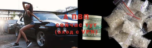 прущие грибы Арсеньев