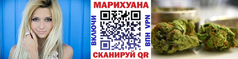 Каннабис OG Kush  Краснообск 